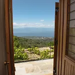House Gecko - Mount Pelion
