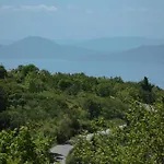 House Gecko - Mount Pelion * Agios Lavrentios