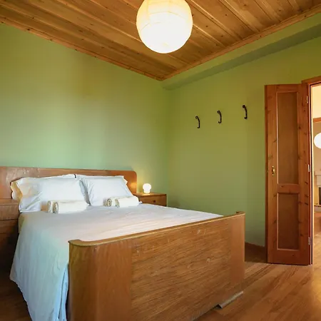 House Gecko - Mount Pelion Agios Lavrentios