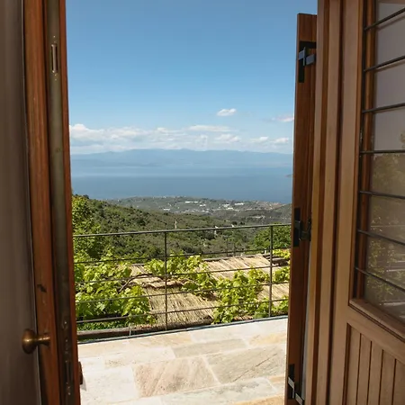 House Gecko - Mount Pelion