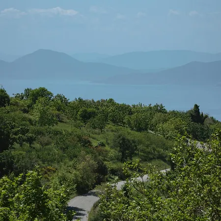 House Gecko - Mount Pelion * Agios Lavrentios