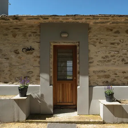 House Gecko - Mount Pelion *