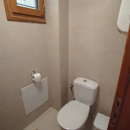 House Gecko - Mount Pelion Agios Lavrentios