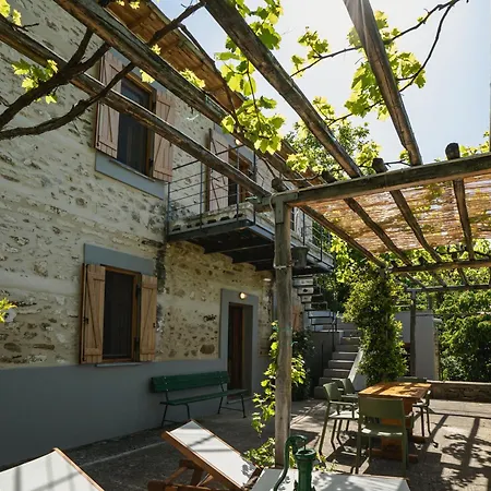 House Gecko - Mount Pelion Agios Lavrentios