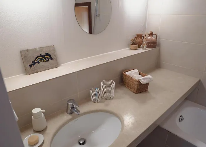 House Gecko - Mount Pelion