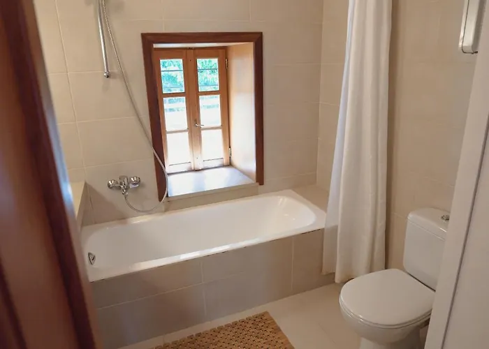 House Gecko - Mount Pelion