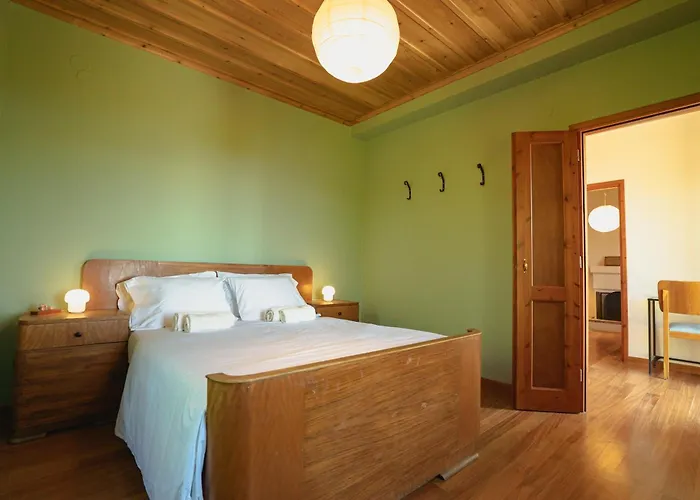 House Gecko - Mount Pelion Agios Lavrentios