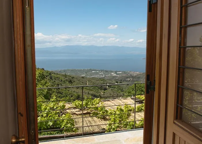 House Gecko - Mount Pelion