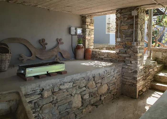 House Gecko - Mount Pelion *