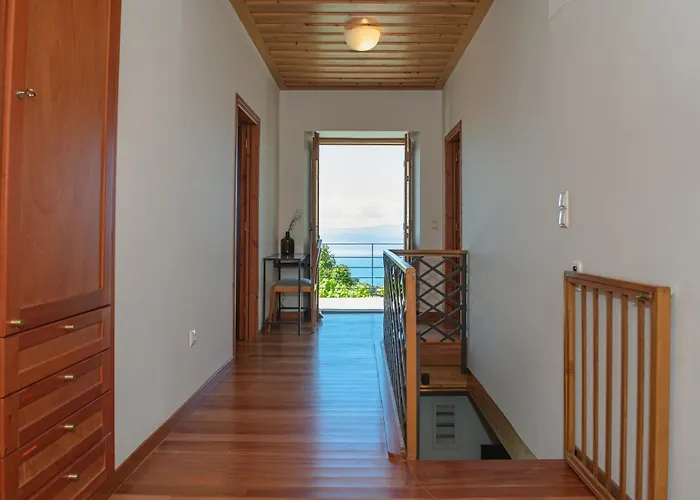 House Gecko - Mount Pelion