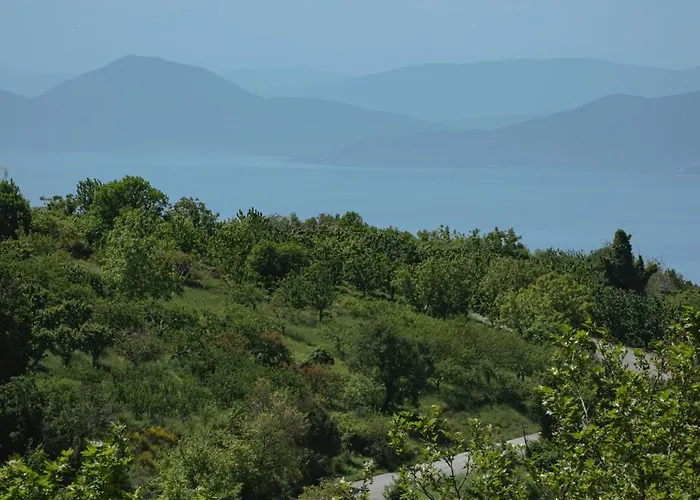 House Gecko - Mount Pelion * Agios Lavrentios