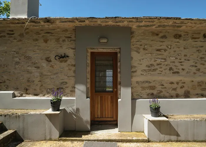 House Gecko - Mount Pelion *