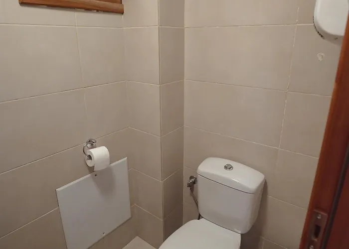 House Gecko - Mount Pelion Agios Lavrentios